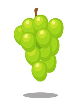 Üzüm meyve vektör çizim