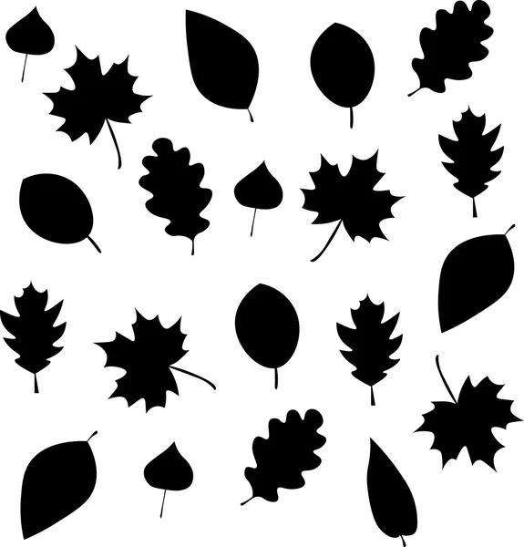 Feuilles de style noir — Image vectorielle