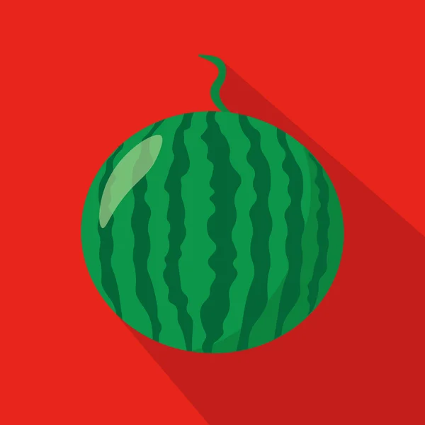 Icône plate pastèque — Image vectorielle