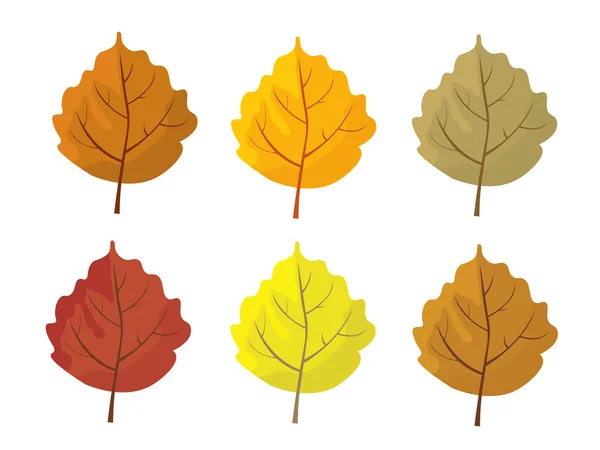 Set van kleurrijke herfst bladeren. Cartoon en platte stijl Leafs. Witte achtergrond. Vector illustratie. — Stockvector