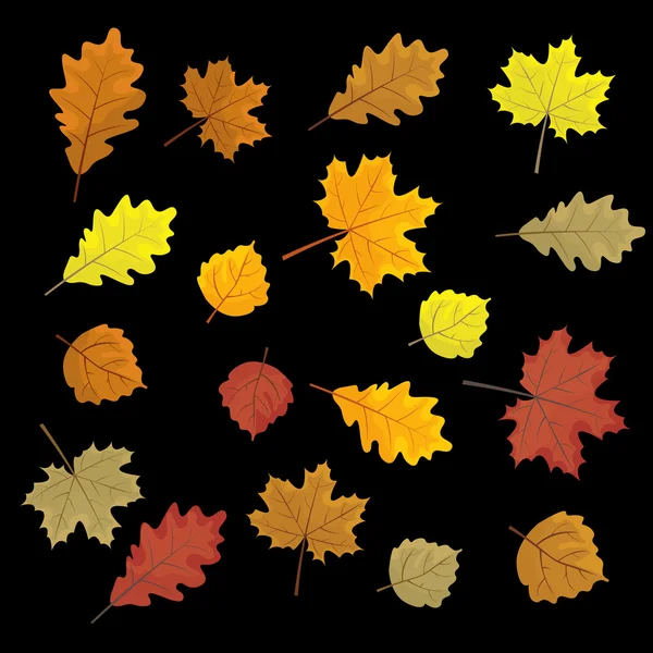 Ensemble de feuilles d'automne colorées. Eléments de design Illustration vectorielle. Feuilles au hasard. Fond noir . — Image vectorielle