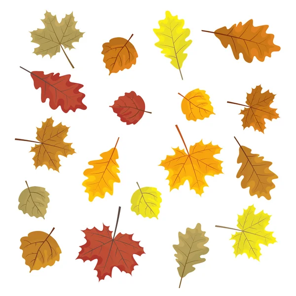 Conjunto de folhas de outono coloridas. Elementos de design Ilustração vetorial. Folhas aleatórias. Fundo branco . —  Vetores de Stock
