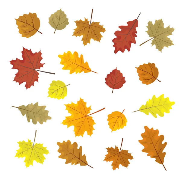 Set di foglie autunnali colorate. Elementi di design Illustrazione vettoriale. Foglie a caso. Fondo bianco . — Vettoriale Stock