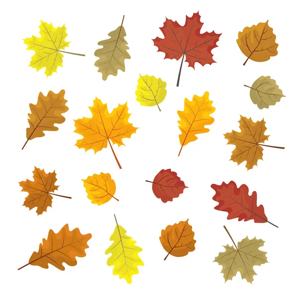 Set van kleurrijke herfst bladeren. Ontwerpelementen vector illustratie. Leafs in willekeurige. Witte achtergrond. — Stockvector