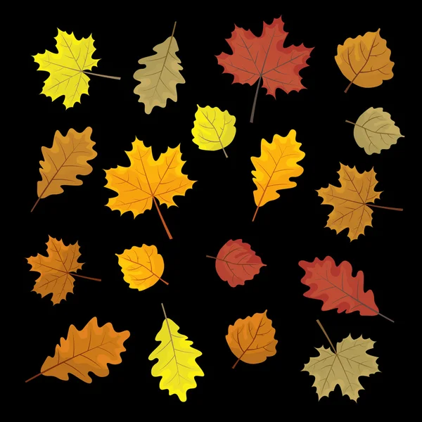 Ensemble de feuilles d'automne colorées. Eléments de design Illustration vectorielle. Feuilles au hasard. Fond noir . — Image vectorielle