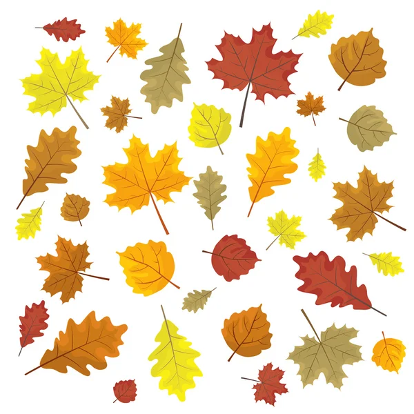 Renkli sonbahar yaprakları seti. Tasarım öğeleri Vektör illüstrasyon. Yapraklar rastgele. Beyaz arka plan.