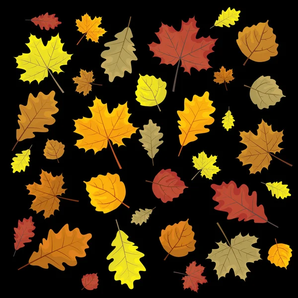 Set van kleurrijke herfst bladeren. Ontwerpelementen vector illustratie. Leafs in willekeurige. Zwarte achtergrond. — Stockvector