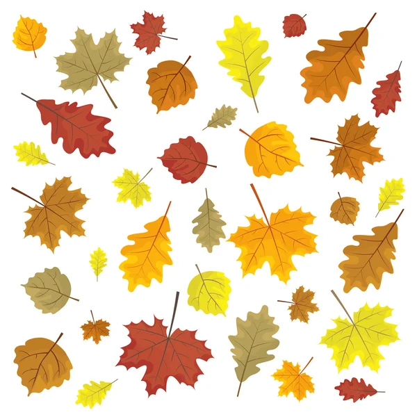 Set van kleurrijke herfst bladeren. Ontwerpelementen vector illustratie. Leafs in willekeurige. Witte achtergrond. — Stockvector