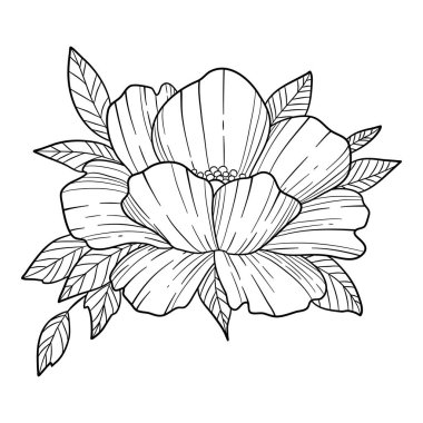 Şakayık simgesi, el çizimi ve özet biçimi