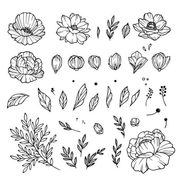 Rozenknop collectie. Elementen van rozen geïsoleerd op witte achtergrond. Boeket rozen. Bloem geïsoleerd tegen wit. Mooie set bloemen. Vectorillustratie. — Stockvector