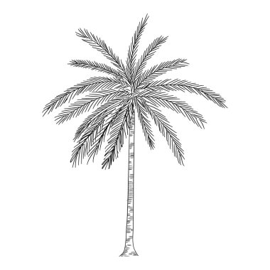 Avuç içi simgesi, el çizimi ve özet biçimi