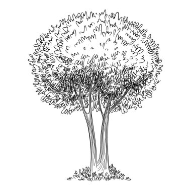 Ağaç simgesi, el çizimi ve özet biçimi