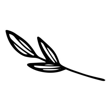 Ağaç yaprağı dalı simgesi, el çizimi ve özet biçimi