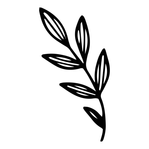 Field leaf branch icon, hand drawn and outline style — Stock Vector