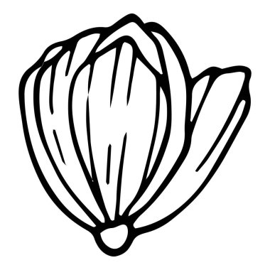 Botanik gelincik simgesi, el çizimi ve özet biçimi