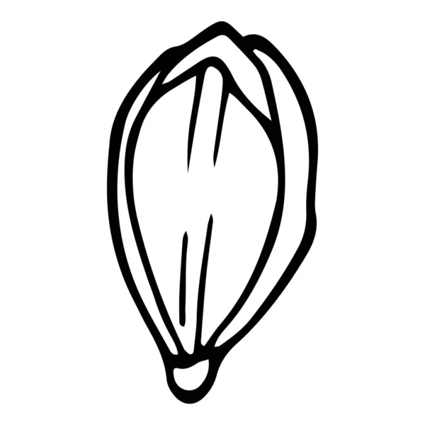 Nouvelle icône de pavot, dessinée à la main et style contour — Image vectorielle