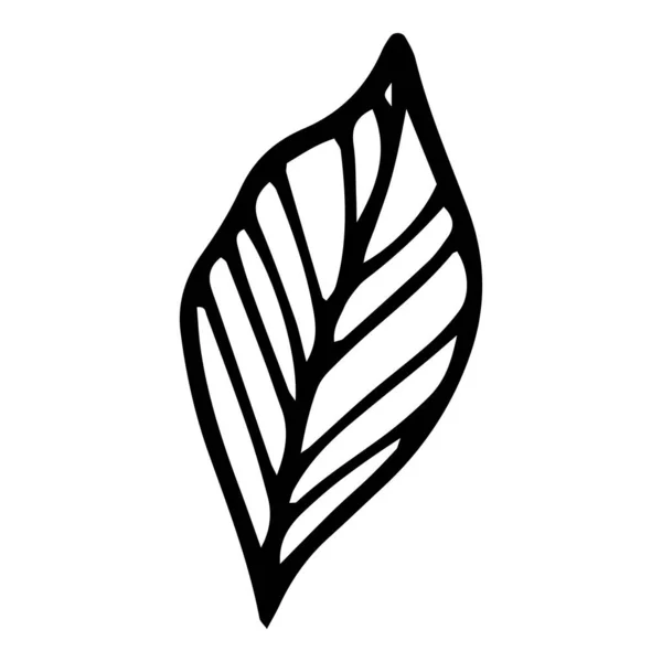 Ícone de folha plana, desenhado à mão e estilo esboço — Vetor de Stock