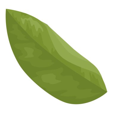 Leaves of Pomegranate hand drawn and realistic style on white background, isolated leaf of red fruit. colorful cartoon style illustration.