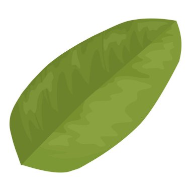 Leaves of Pomegranate hand drawn and realistic style on white background, isolated leaf of red fruit. colorful cartoon style illustration.