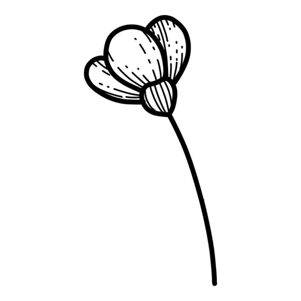 Mano libre Sakura vector de flores, Hermosa línea de arte flor de melocotón aislar sobre fondo blanco. Flor de primavera de Japón. Estilo realista dibujado a mano — Vector de stock