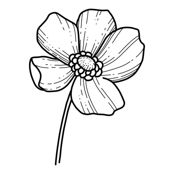 Mano libre Sakura vector de flores, Hermosa línea de arte flor de melocotón aislar sobre fondo blanco. Flor de primavera de Japón. Estilo realista dibujado a mano — Vector de stock