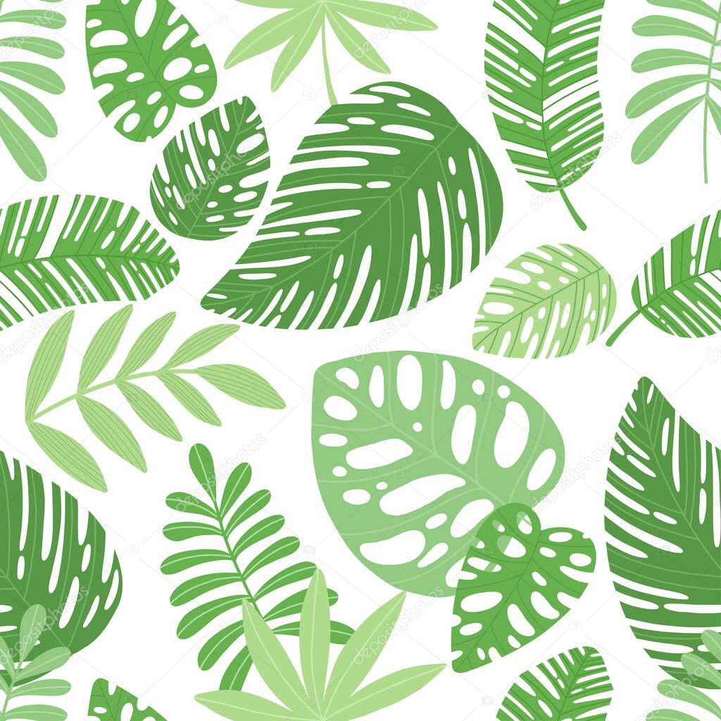 Tropical leaf pattern cartoon vector. Seamless palm tree