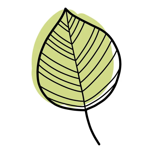 Doodle folha ícone esboço mão vetor desenhado. Natureza outono outono — Vetor de Stock