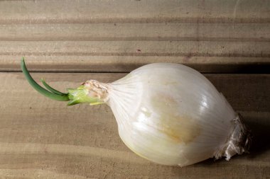 Brezilya 'da tahta masada beyaz soğan