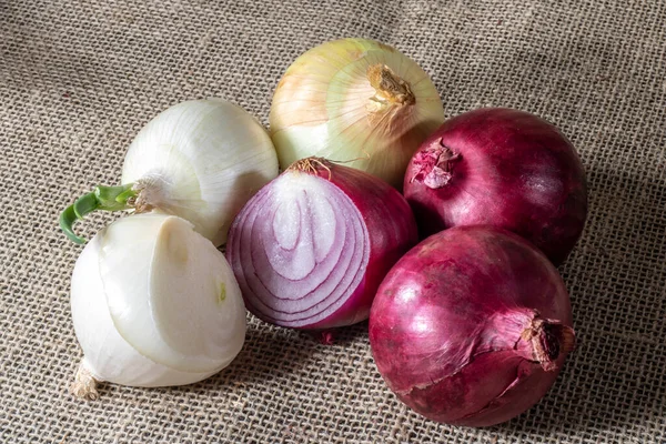 Röd Gul Och Vit Lök Vit Bakgrund Brasilien — Stockfoto