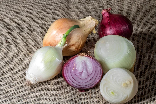 Röd Gul Och Vit Lök Vit Bakgrund Brasilien — Stockfoto