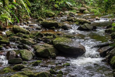 Brezilya 'da kayaların arasından akan su