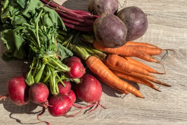 Brezilya 'daki ahşap masada taze organik havuç, pancar ve turplar.