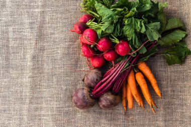 Brezilya 'da taze organik havuç, turp ve pancar.