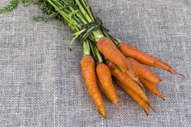 Brezilya 'da jüt arka planda taze organik havuç