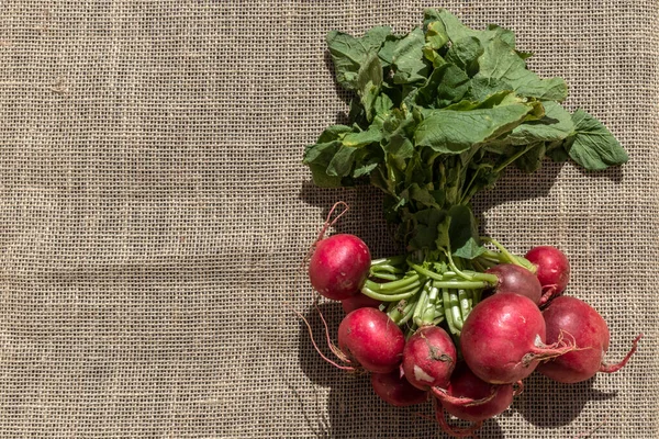 Fresh Organic Radishes Jute Background Brazil — Stock Photo, Image