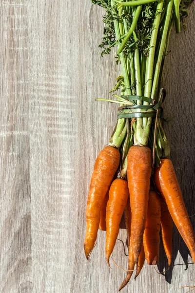 Fresh Organic Carrots Wooden Table Brazil — Stock Photo, Image