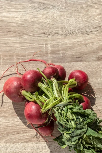 Fresh Organic Radishes Wooden Table Brazil — Stock Photo, Image