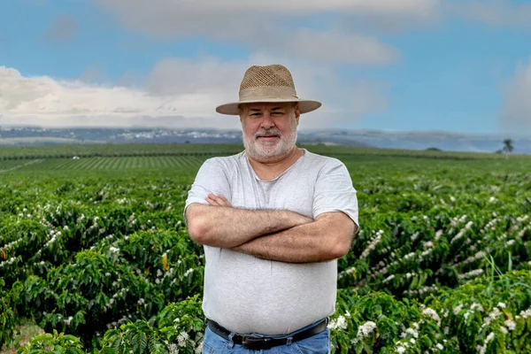 Retrato Agricultor Mediana Edad Con Fondo Plantación Café Flor Brasil — Foto de Stock