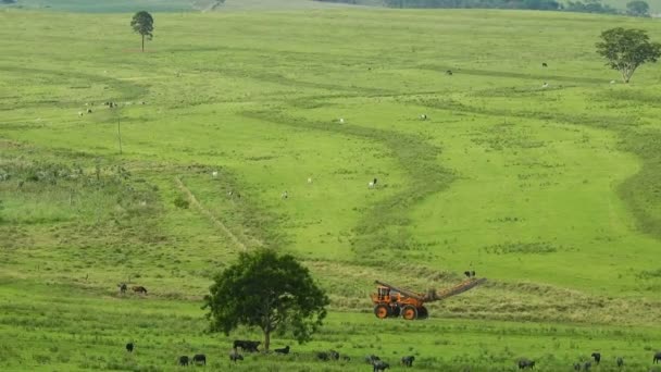 Agricultor Com Uma Máquina Pulverização Aplica Dessecante Uma Área Pastagem — Vídeo de Stock