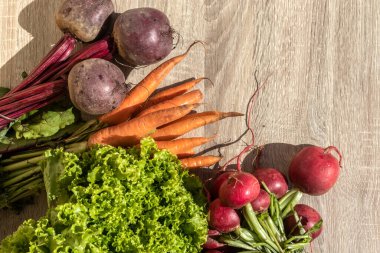 Brezilya 'da taze organik havuç, pancar, turp ve marul yaprakları.