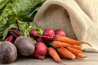 Brezilya 'da taze organik havuç, turp ve pancar.