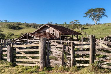 Brezilya 'da terk edilmiş eski bir sığır ahırı