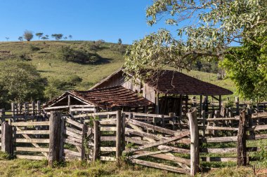 Brezilya 'da terk edilmiş eski bir sığır ahırı