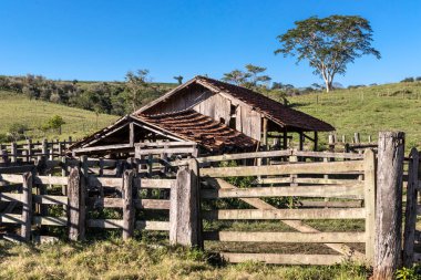 Brezilya 'da terk edilmiş eski bir sığır ahırı