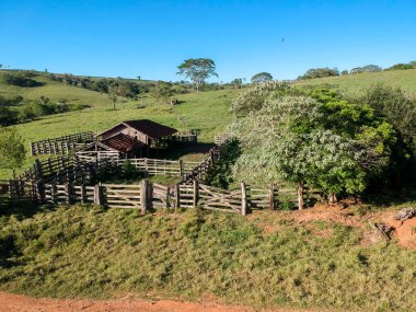 Brezilya 'da terk edilmiş eski bir sığır ahırı havadan görünüyor.