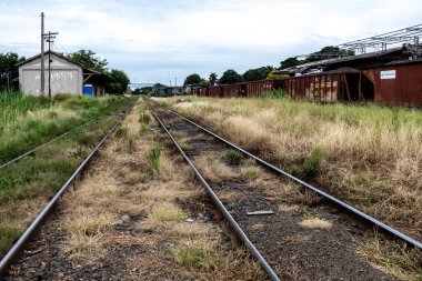 Matao, Sao Paulo, Brezilya, 19 Şubat 2013. Lokomotifler ve vagonlar, Brezilya 'nın Sao Paulo eyaletindeki Matao şehrindeki Maato Tren İstasyonu' nun manevra sahasında terk edildi.