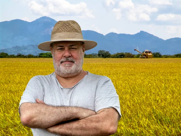 Retrato Agricultor Mediana Edad Con Cosechadora Cosechando Arroz Día Brillante — Foto de Stock