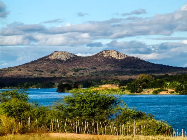 Viwe Twin Hill Adn Semiarid Vegetation Pernambuco Staten Nordöstra Brasilien — Stockfoto