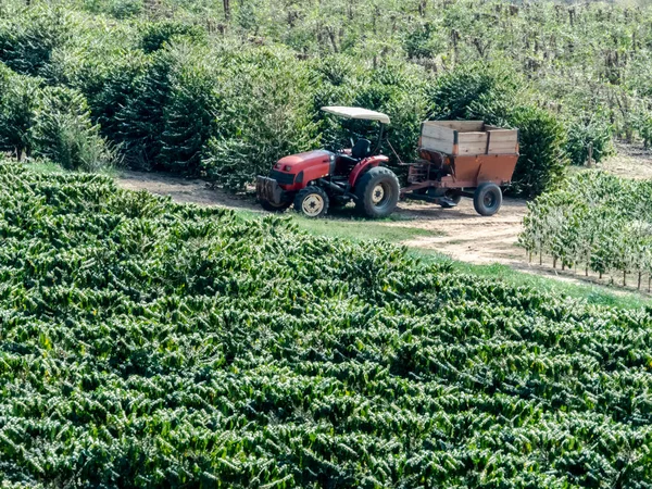 Traktor Berhenti Sebuah Ladang Kopi Brazil — Stok Foto