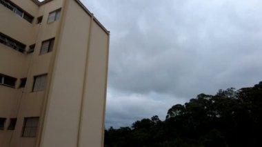 Brezilya 'da park halindeki ağaçların bina ve silueti